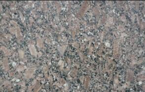 皇(huang)室啡(fei)玫瑰长花(hua)